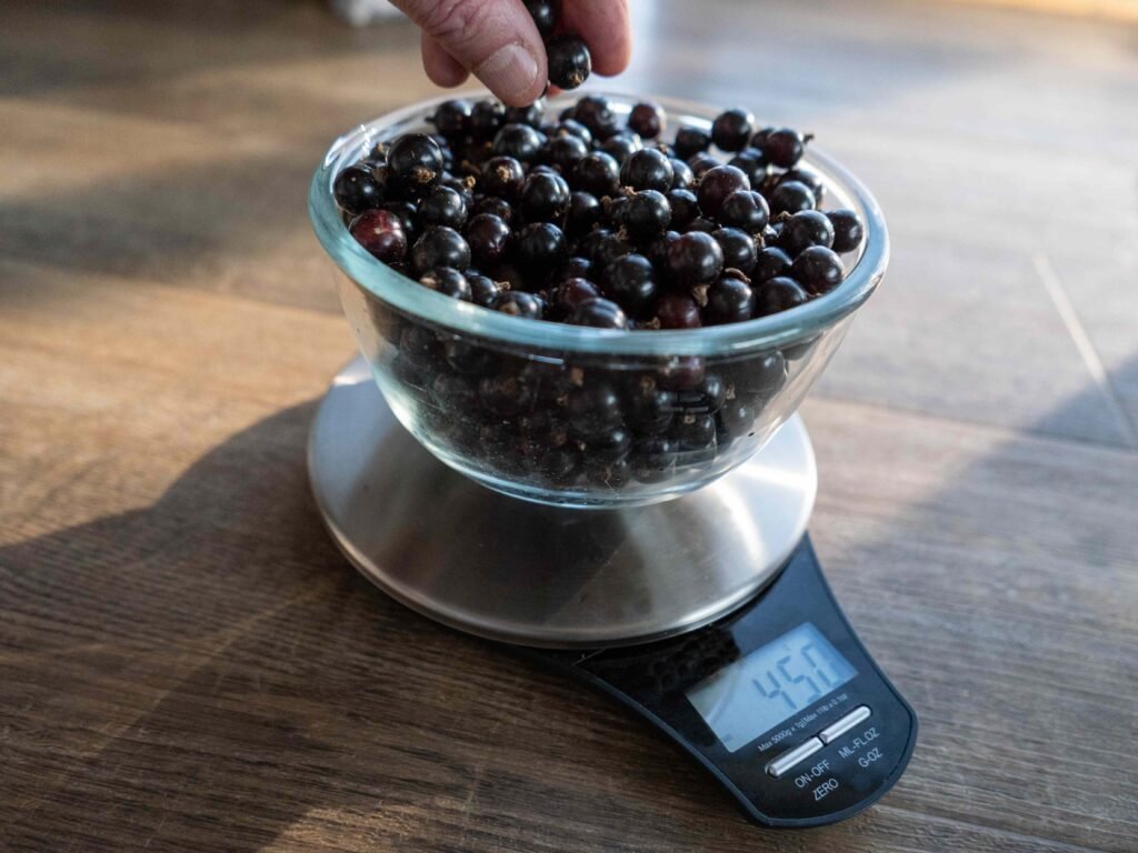 4 Benefits of Black Currant: Plus, Nutrition and Risks