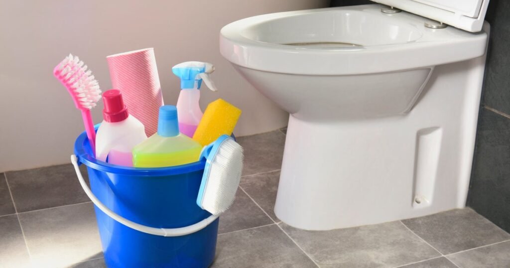 How Often Do You Need To Replace Your Toilet Brush?
