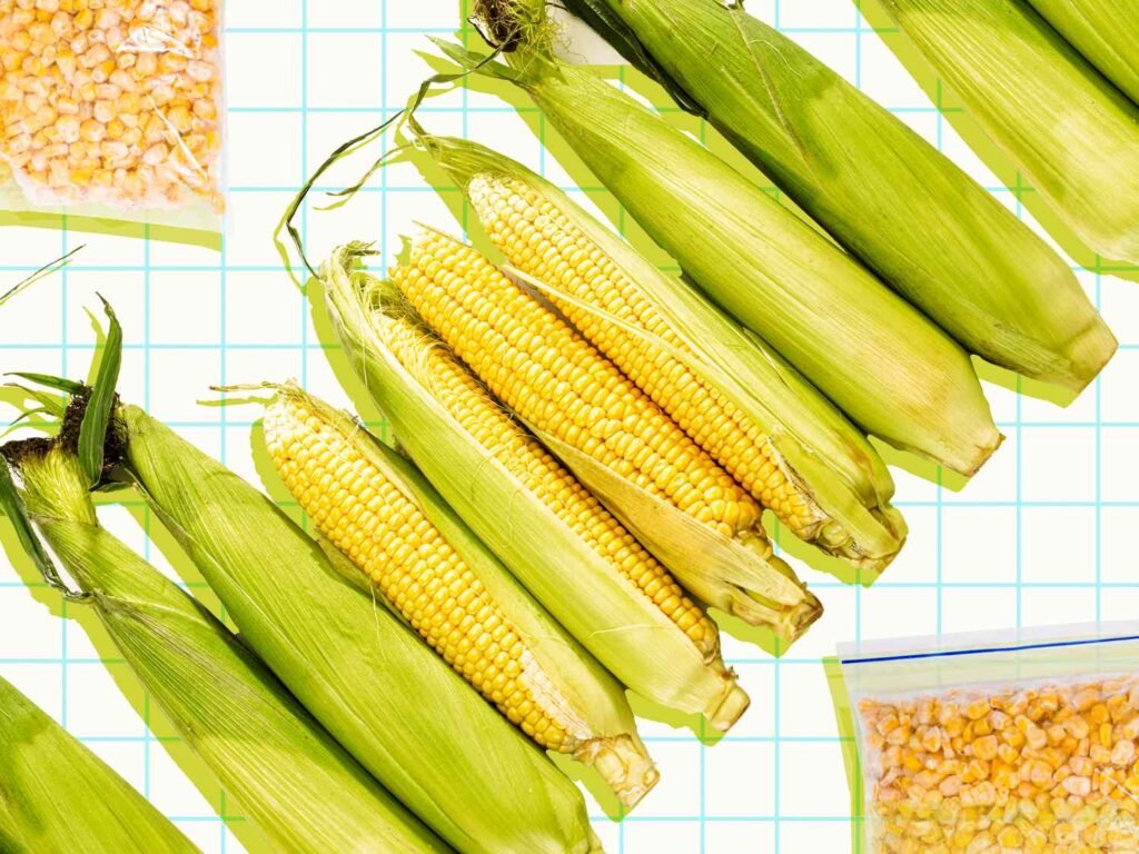 How to Store Fresh Corn on the Cob
