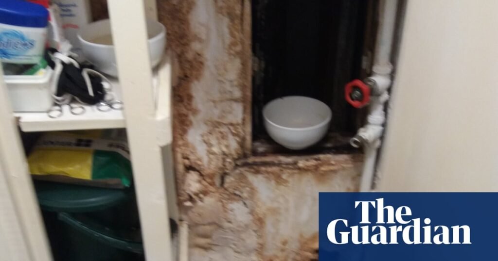 I’m 91 and have cancer but a London council let me live in a soaking, mouldy flat for a year | Money
