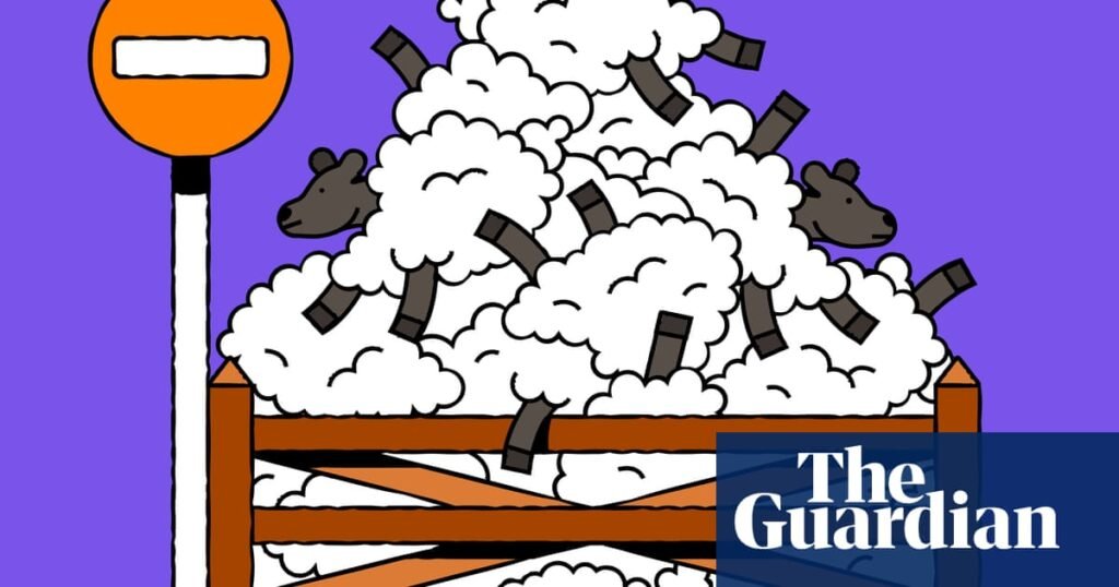Stop counting sheep – and 13 more no-nonsense tips for getting back to sleep | Sleep