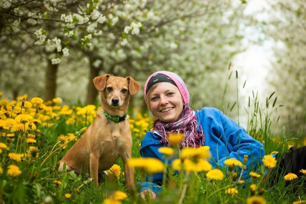 Unlock Barley Grass’s Potent Anti-Inflammatory Secrets for Better Health