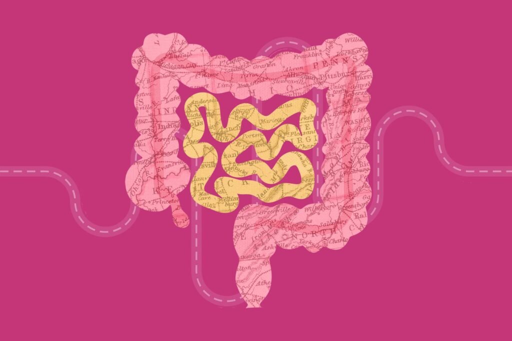 5 Reasons Why You Can't Poop When Traveling, According to a Gut Doctor