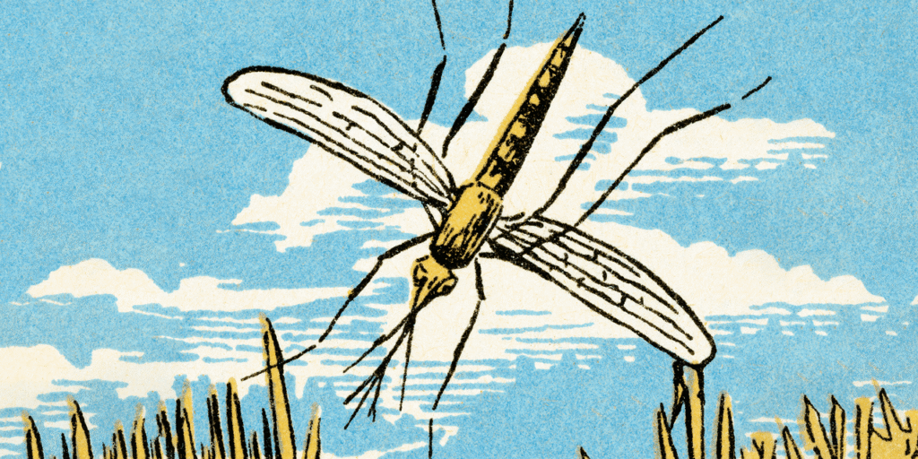 August Is Prime Time for Mosquitoes—and the Diseases They Carry. Here’s How to Prevent Mosquito Bites