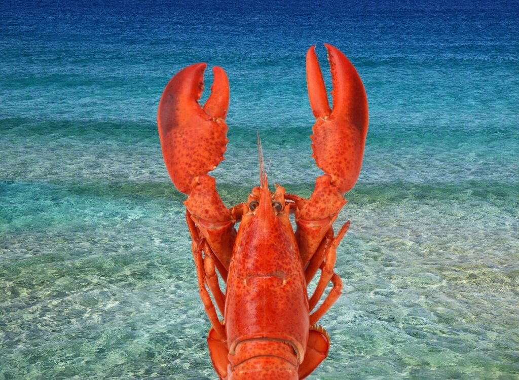 7 Restaurant Chains That Serve the Freshest Lobster