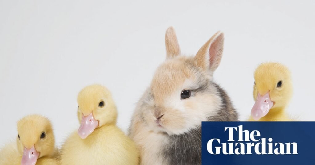 Feeling out of place? How to beat impostor syndrome | Life and style
