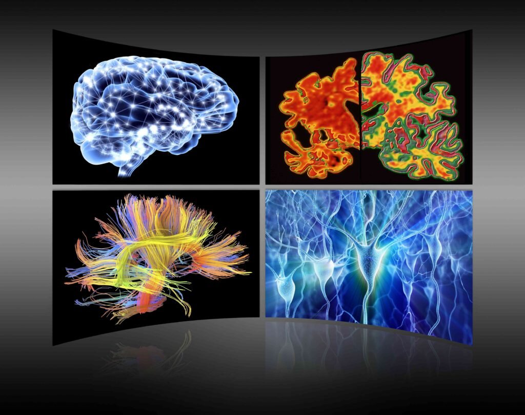 How They Interact and Impact Behavior