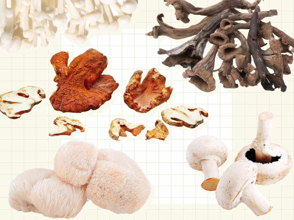The Mushroom Varieties You Should Know