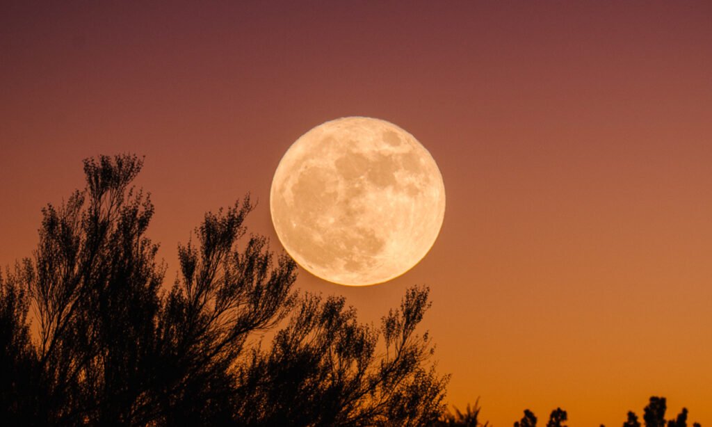 These Zodiac Signs Are Going To Feel October's Full Moon The Most