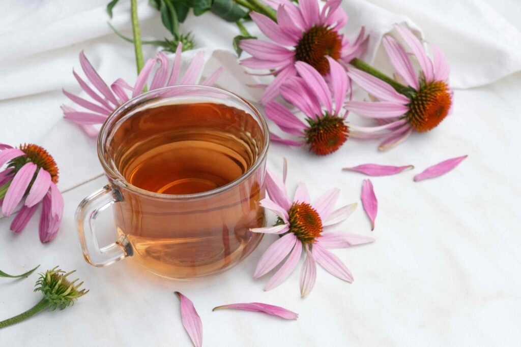 What Happens to Your Body When You Drink Echinacea Tea What Happens to Your Body When You Drink Echinacea Tea