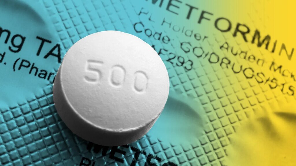 Does Metformin Support Weight Loss? The Full Picture Type 2 Diabetes
