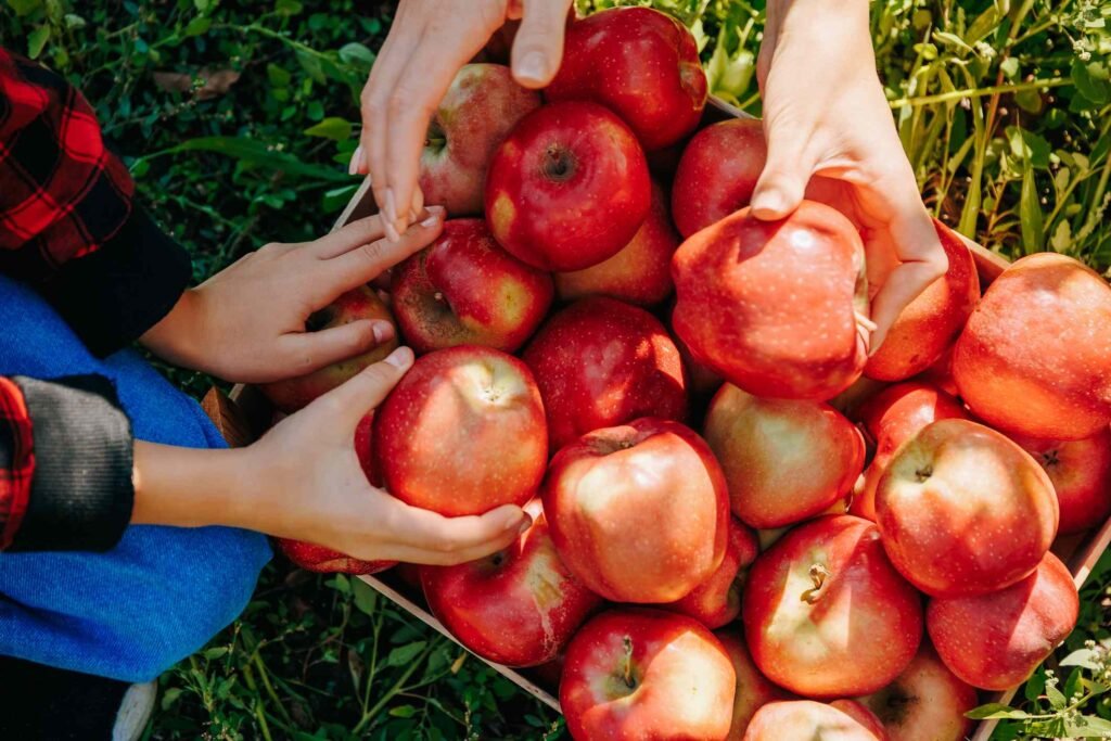 How to Pick an Apple That’s Actually Sweet, Juicy, and Worth Eating Every Time