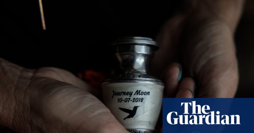 Monday briefing: What a new Guardian investigation reveals about a group ‘radicalising’ women into unassisted birth | Parents and parenting