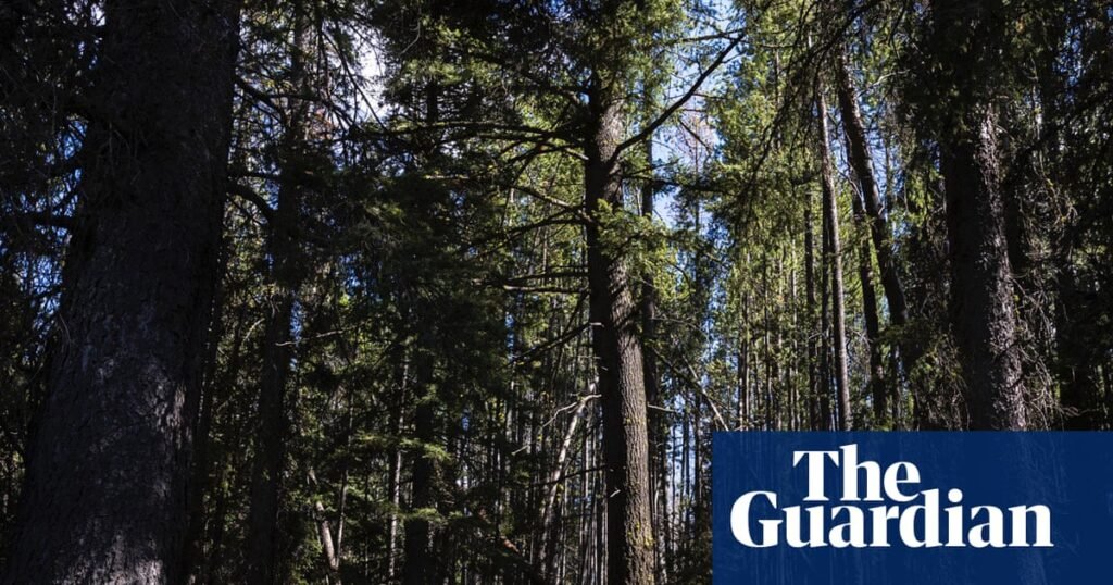 She left her desk job and walked 3,541 miles from Mexico to Canada: ‘Give yourself permission’ | Walking She left her desk job and walked 3,541 miles from Mexico to Canada: ‘Give yourself permission’ | Walking