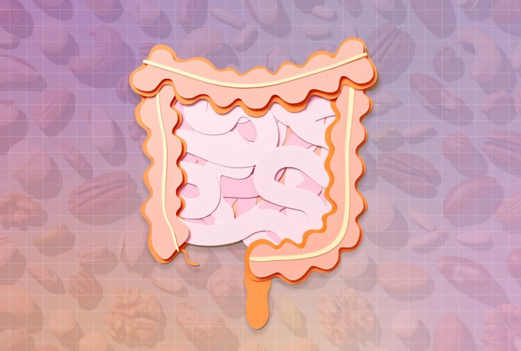 The Best Fat for Gut Health, According to Dietitians