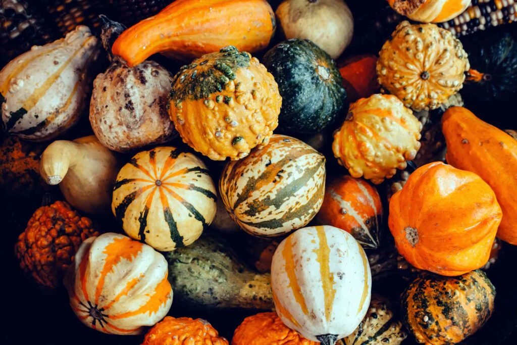 We Asked 3 Dietitians What the Healthiest Winter Squash Is and They All Said the Same Thing