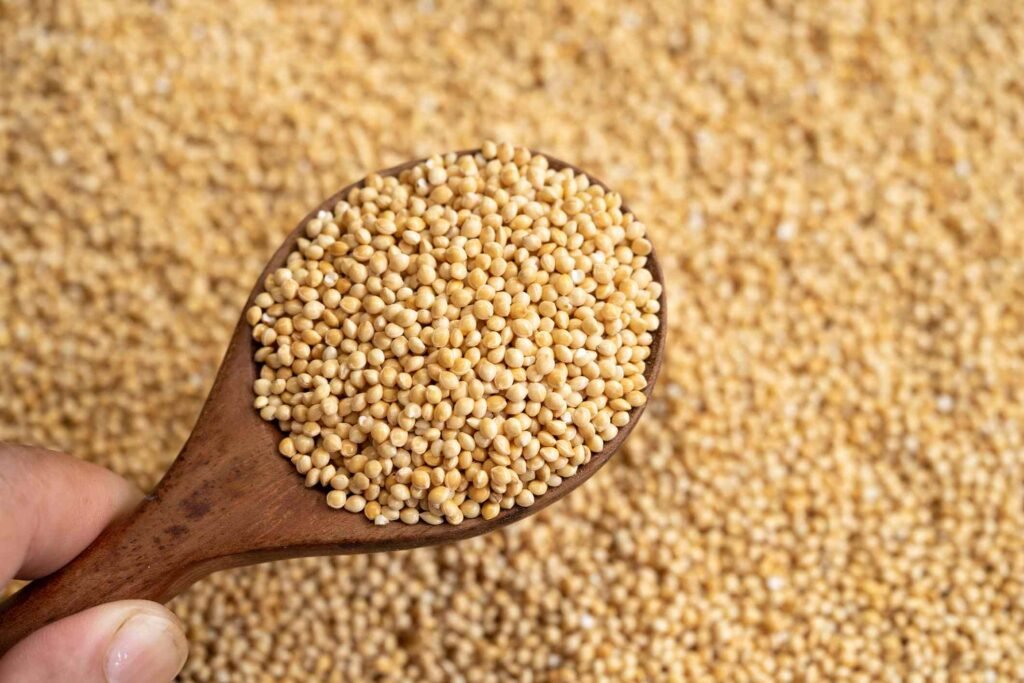 What Happens to Your Body When You Eat Amaranth Regularly What Happens to Your Body When You Eat Amaranth Regularly