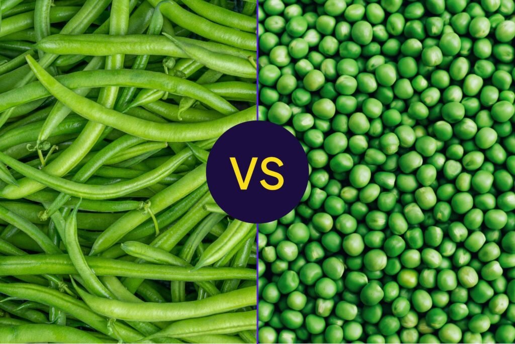 Which Is Higher in Fiber and Protein? Which Is Higher in Fiber and Protein?