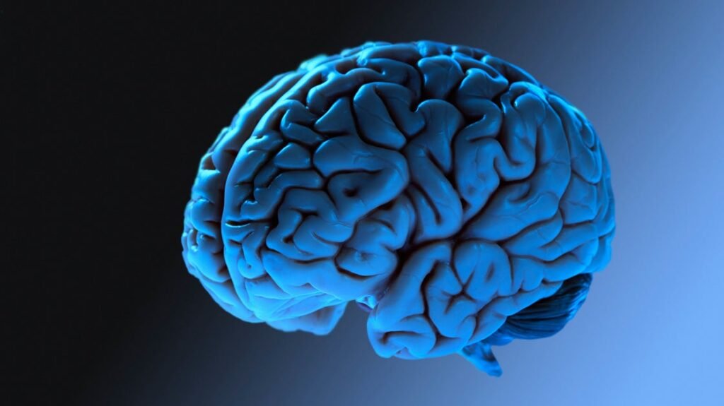 New Study Reveals Brain Adolescence Is Way Longer Than Previously Believed