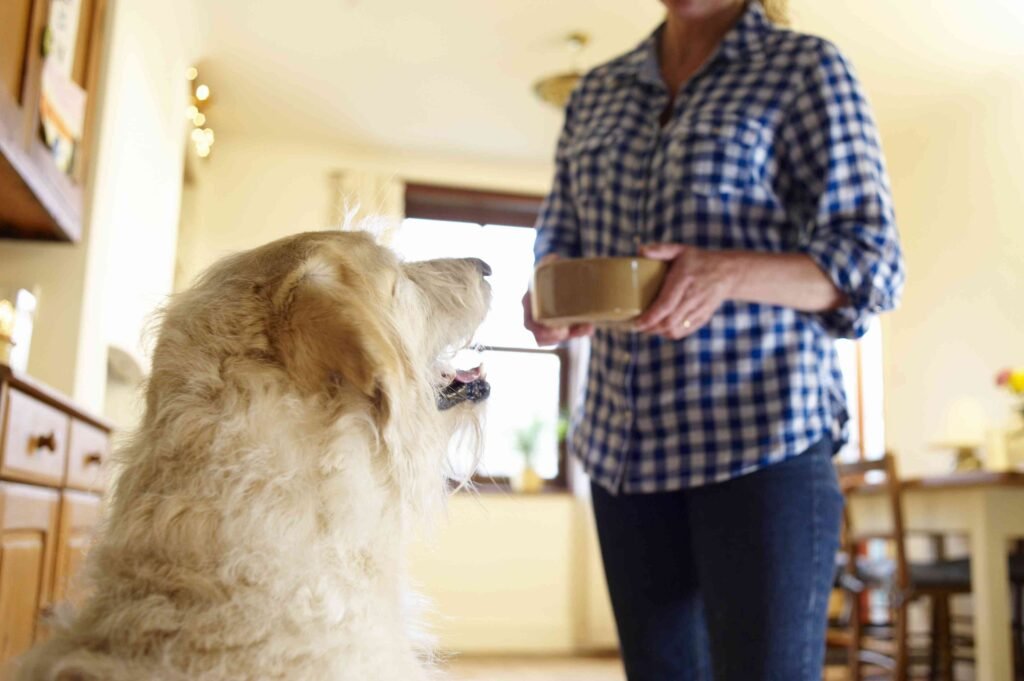 Spontaneous Recovery in Psychology