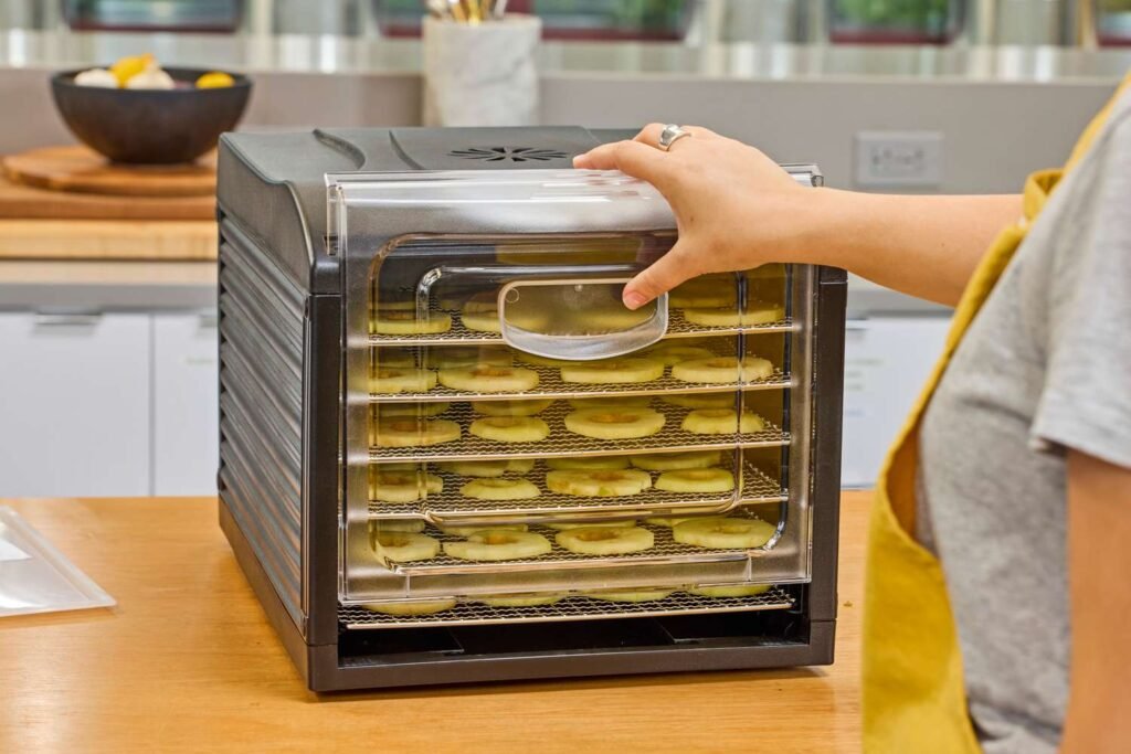 The 4 Best Food Dehydrators of 2025, Tested & Reviewed