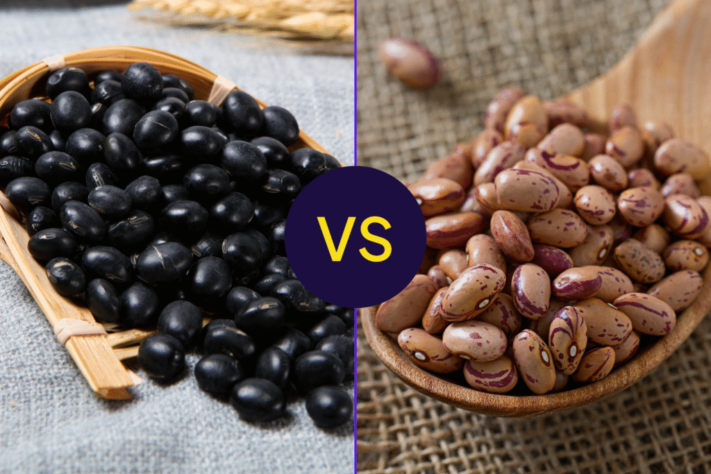 Which Are Better for Protein and Fiber?