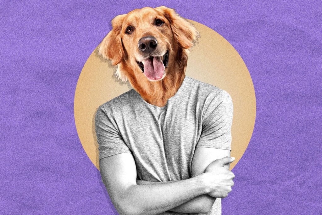 Why Everyone Wants a Golden Retriever Boyfriend