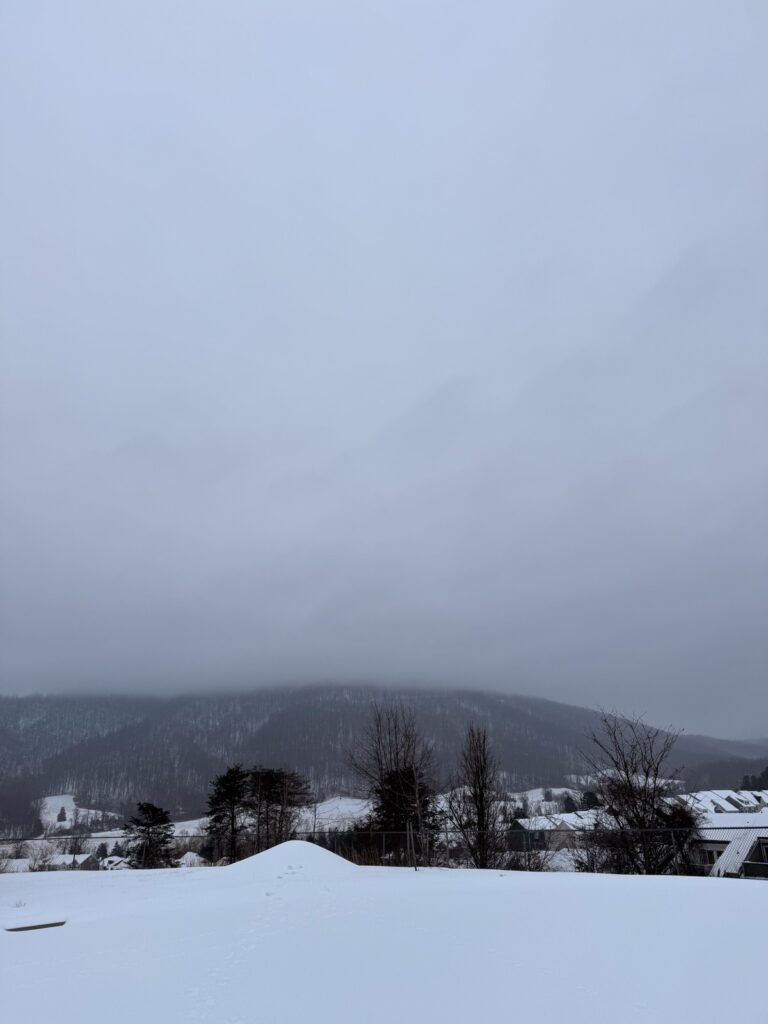 Snow + Sleet • Kath Eats