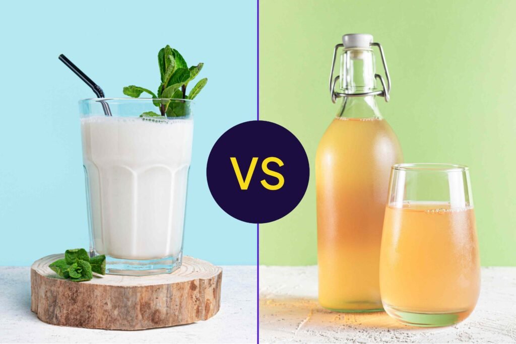 Which Fermented Drink Is Better for Digestion?