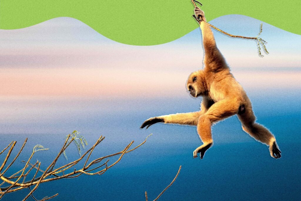 Are You Being ‘Monkey Branched?’ Understanding the Signs of This Subtle Form of Cheating