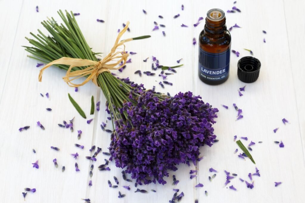 Benefits of Lavender Oil for Mental Health