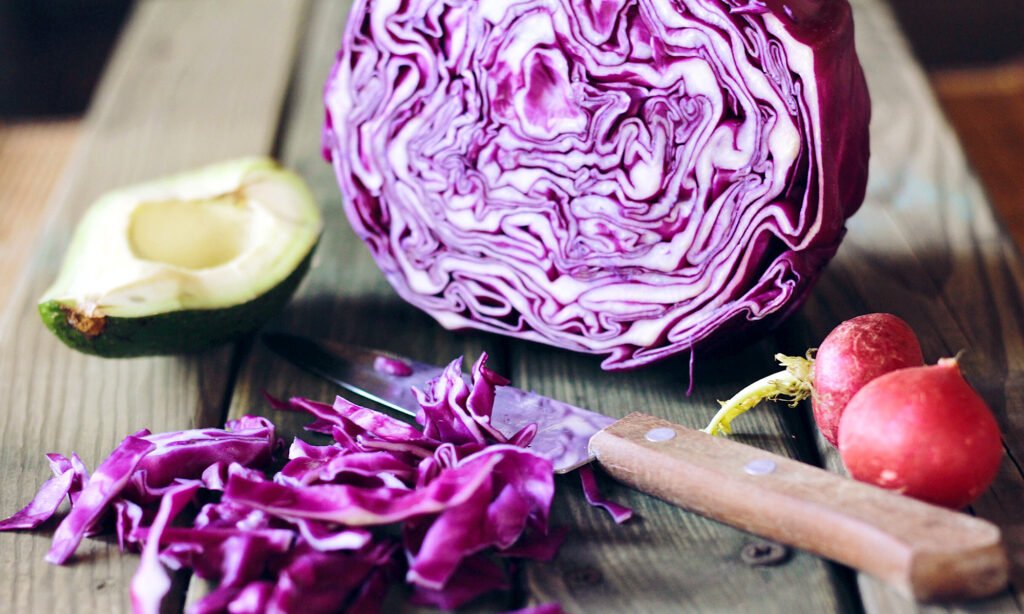 How Fermented Cabbage Strengthens Your Gut Barrier, Naturally How Fermented Cabbage Strengthens Your Gut Barrier, Naturally