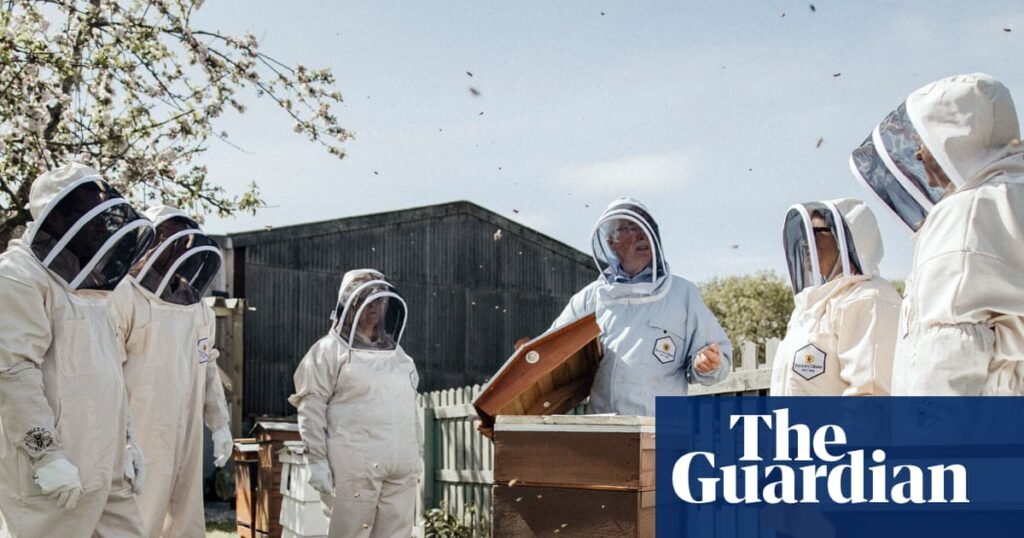 Office buzz: UK employers turn to beehives to boost workplace wellbeing | Bees