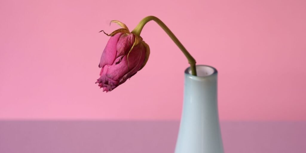 Half of Women Will Develop Pelvic Organ Prolapse. Here Are the Signs