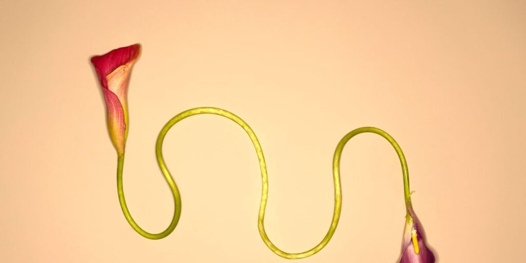 The 30-Minute Screening That Could Add Years to Your Life