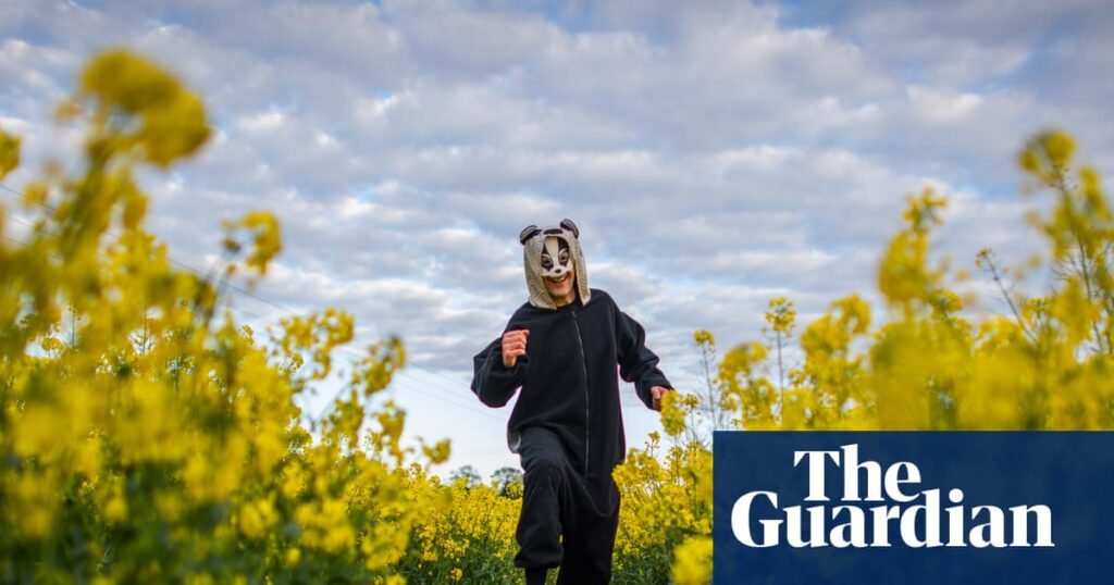 Am I a deluded attention-seeker? Why I’m running the London Marathon dressed as a badger | Running