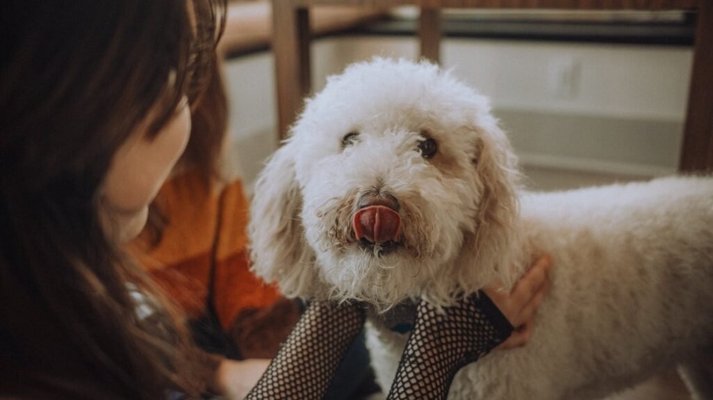 Do Hypoallergenic Pets Really Help With Allergies?