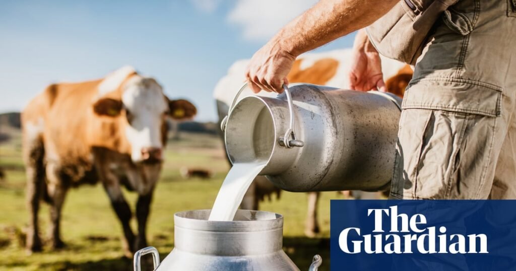 Making a splash: demand for raw and ‘brewed’ milk growing in UK | Milk
