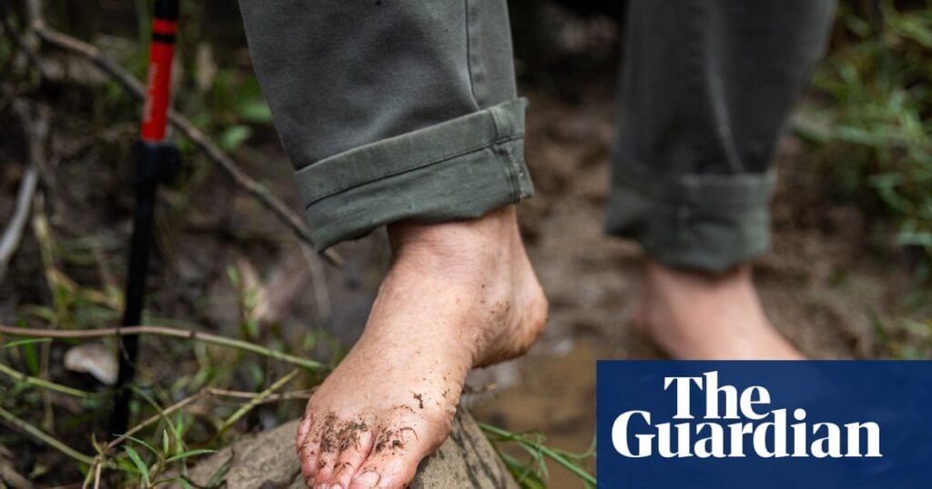 The unlikely appeal of barefoot hiking: ‘It makes you feel quite primal’ | Australian lifestyle The unlikely appeal of barefoot hiking: ‘It makes you feel quite primal’ | Australian lifestyle