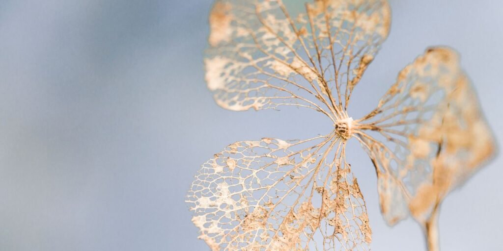 Urinary Incontinence Can Be a Subtle Risk Factor for Frailty in Women