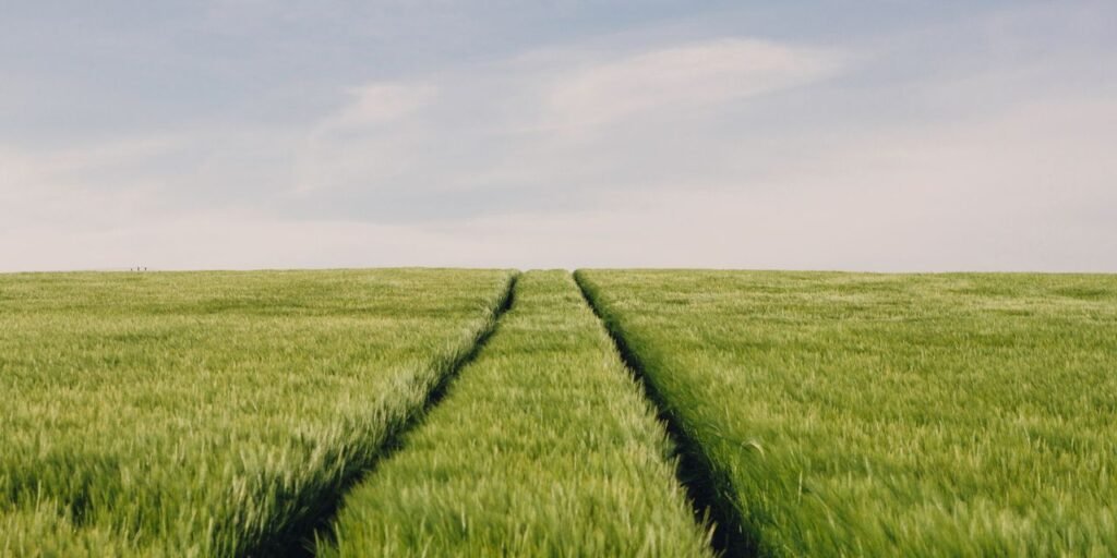 ‘Parallel Life Syndrome’: Why Long-Term Relationships Lose Their Spark