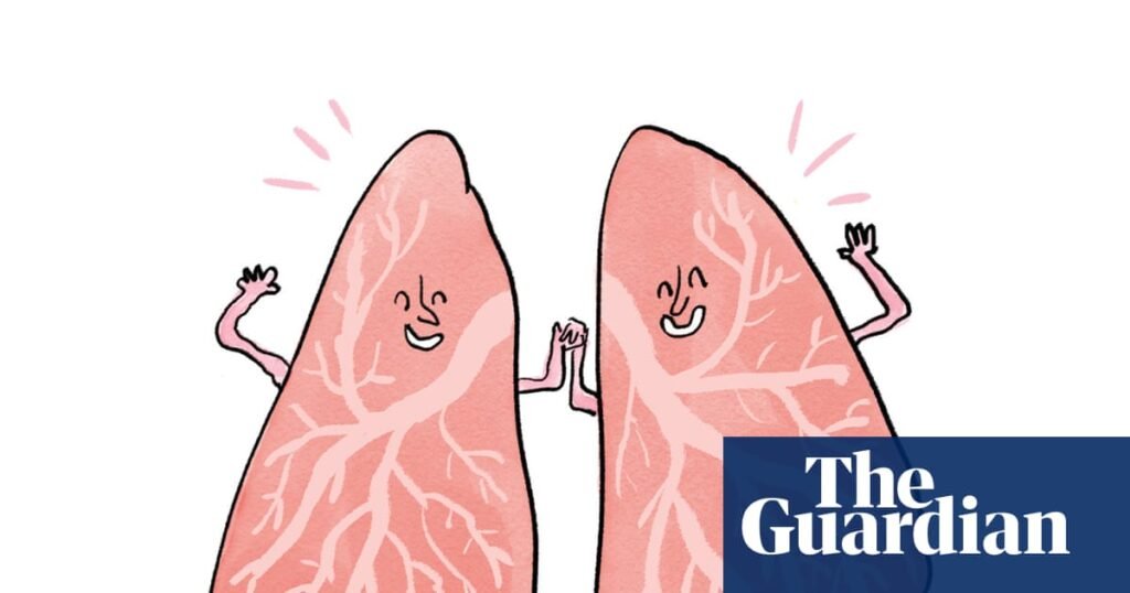 Is it true that … your lungs regenerate when you quit smoking? | Health & wellbeing