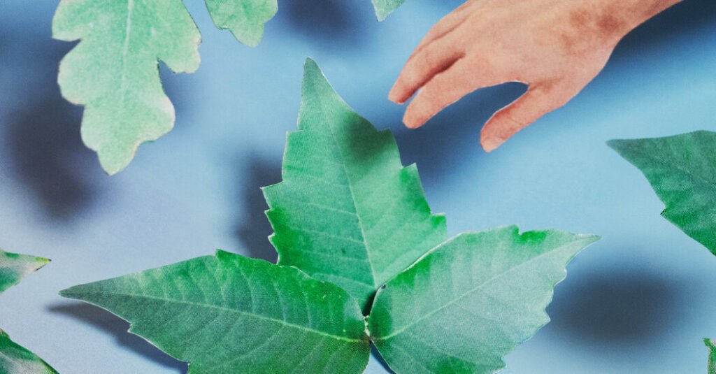 Wait, Is That Poison Ivy? A Quiz.
