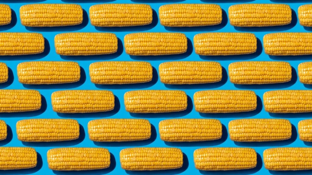Why Does Corn Come Out Whole In Your Stool, Even When You Chew It?