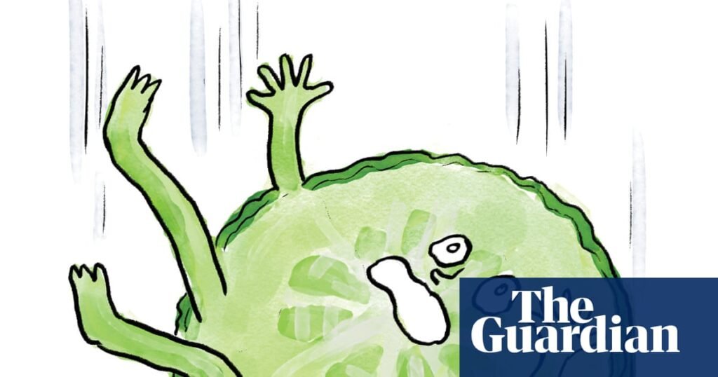 Is it true that … you have five seconds’ grace after dropping food on the floor? | Health & wellbeing